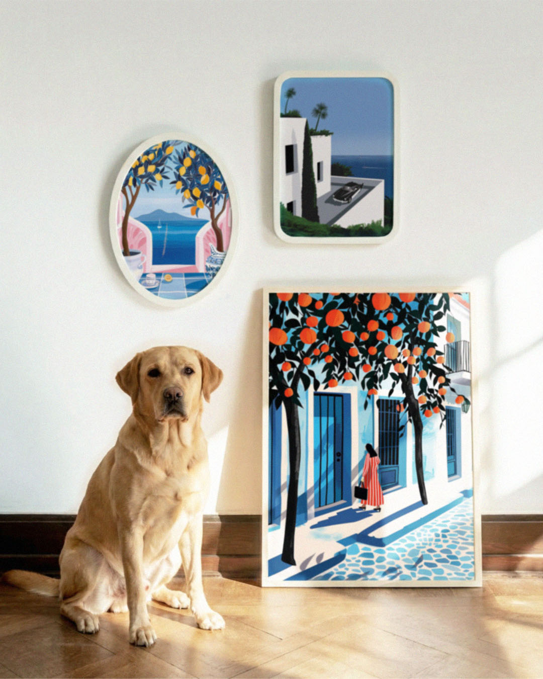 Plakat: Zakynthos zimą